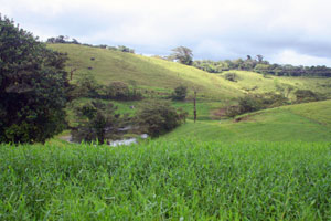 The large property contains several ponds. 